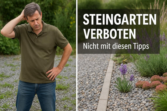 Steingärten verboten? So nutzen Sie Splitt rechtssicher und naturnah